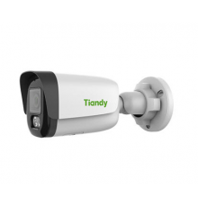 TIANDY TC-C32QNI3/E/Y/4MM-V5.0 IP-камера