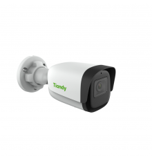 TIANDY TC-C32WN I5/E/Y/4MM/V4.1 IP-камера